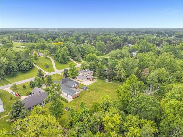 4371 Pine Lake Dr, Medina, OH 44256 - bird's eye view of a forest