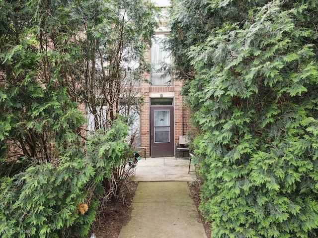 2385 Covington Rd Unit 102, Akron, OH 44313 - property entrance featuring brick siding