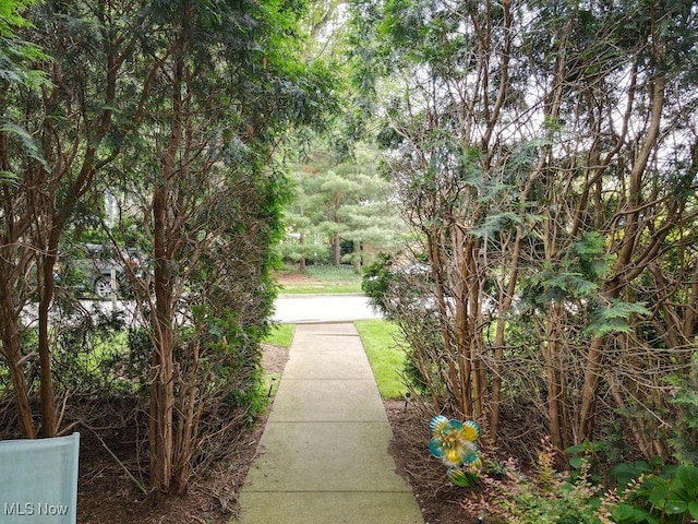 2385 Covington Rd Unit 102, Akron, OH 44313 - view of community