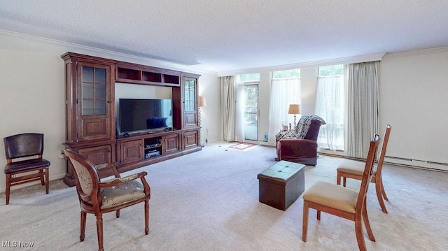 2385 Covington Rd Unit 102, Akron, OH 44313 - living area featuring ornamental molding, a textured ceiling, and light carpet