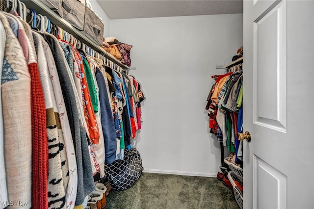 3895 Mars Dr, Brunswick, OH 44212 - spacious closet with carpet floors