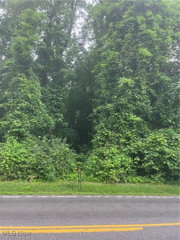 Mcmackin Rd, Madison, OH 44057 - photo 1
