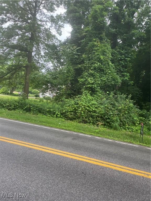Mcmackin Rd, Madison, OH 44057 - photo 2
