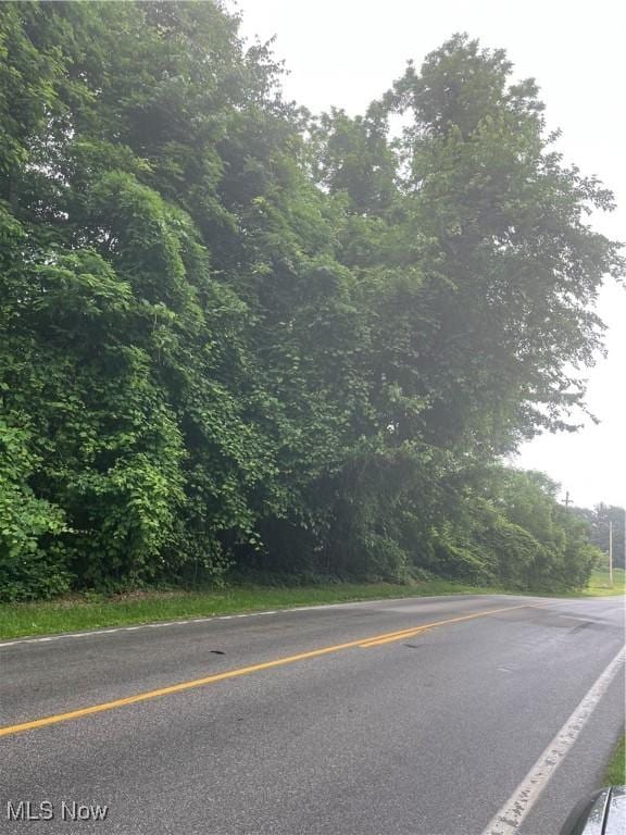 Mcmackin Rd, Madison, OH 44057 - photo 3