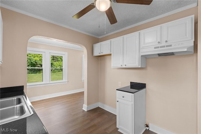 159 Locust St, Wintersville, OH 43953 - kitchen with arched walkways, under cabinet range hood, white cabinetry, a textured ceiling, and ornamental molding