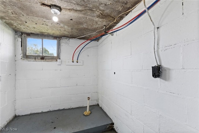 159 Locust St, Wintersville, OH 43953 - below grade area with concrete block wall