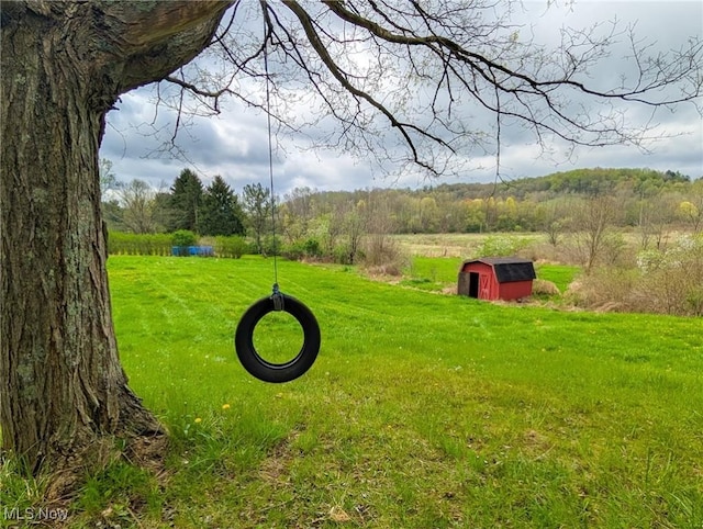 3189 Union Ave SE, Minerva, OH 44657 - view of grassy yard