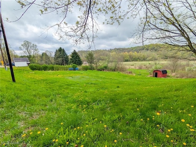 3189 Union Ave SE, Minerva, OH 44657 - view of green lawn