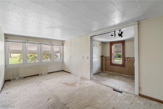 365 Stephens Rd, Akron, OH 44312 - unfurnished room featuring wood walls, healthy amount of natural light, carpet flooring, and baseboards