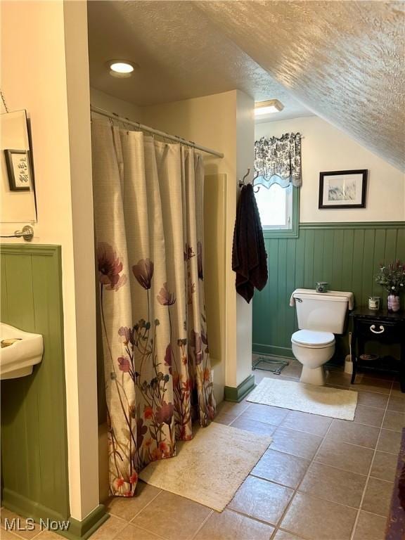 586 Columbia Rd, Valley City, OH 44280 - full bathroom with a textured ceiling, toilet, lofted ceiling, a shower with curtain, and wainscoting