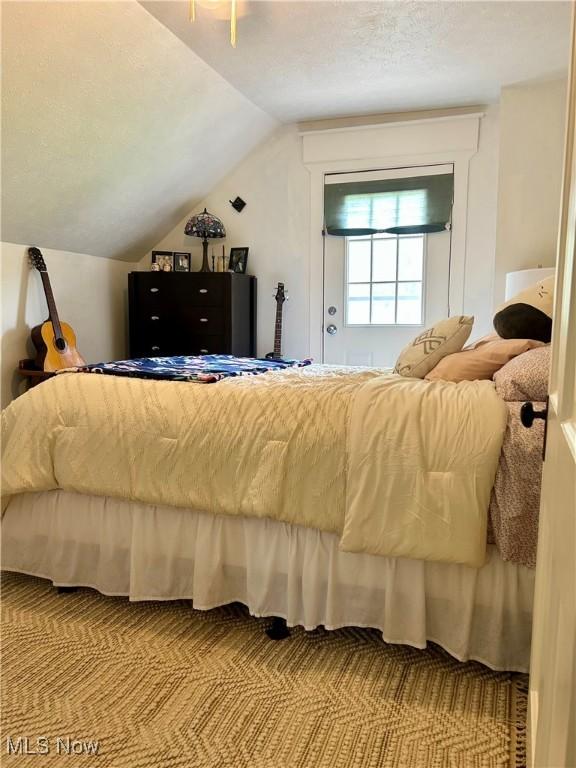 586 Columbia Rd, Valley City, OH 44280 - bedroom with vaulted ceiling and carpet flooring
