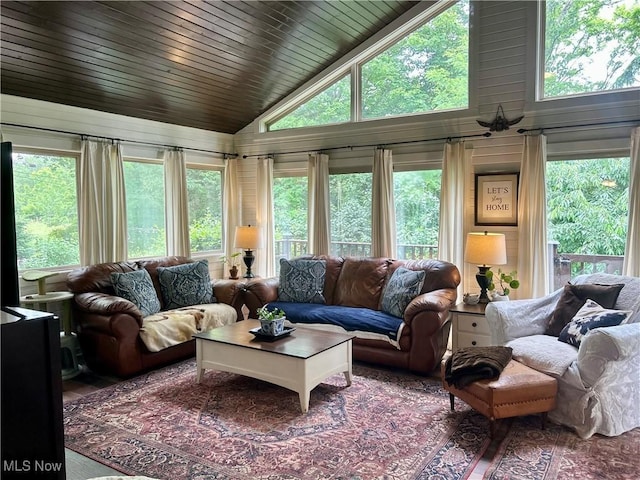 586 Columbia Rd, Valley City, OH 44280 - living room featuring high vaulted ceiling, healthy amount of natural light, and wood finished floors