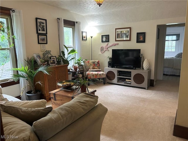 586 Columbia Rd, Valley City, OH 44280 - carpeted living room featuring a textured ceiling and vaulted ceiling