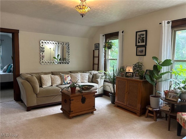 586 Columbia Rd, Valley City, OH 44280 - living area with light carpet and vaulted ceiling