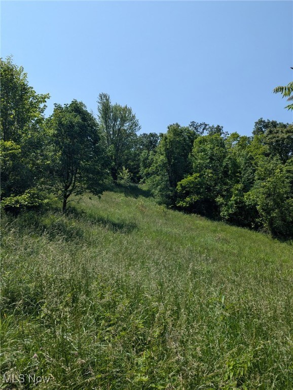0 Flint Ridge Rd, Crooksville, OH 43731 - photo 5