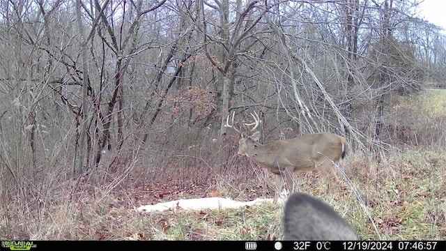0 Flint Ridge Rd, Crooksville, OH 43731 - photo 7