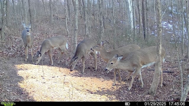 0 Flint Ridge Rd, Crooksville, OH 43731 - photo 8