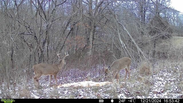 0 Flint Ridge Rd, Crooksville, OH 43731 - photo 9