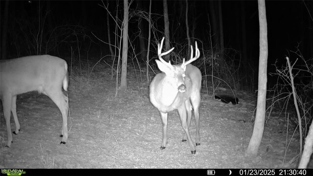 0 Flint Ridge Rd, Crooksville, OH 43731 - photo 13