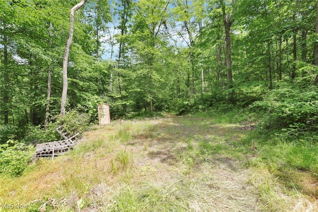 0 Sugargrove Rd, Chandlersville, OH 43727 - view of wooded area