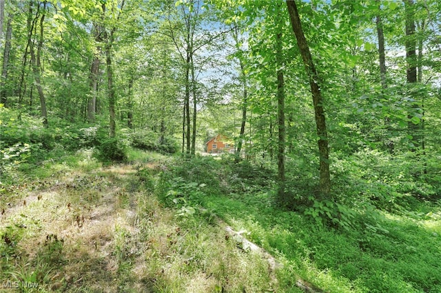 0 Sugargrove Rd, Chandlersville, OH 43727 - view of woods