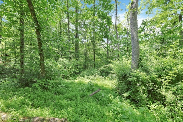0 Sugargrove Rd, Chandlersville, OH 43727 - view of tree filled area