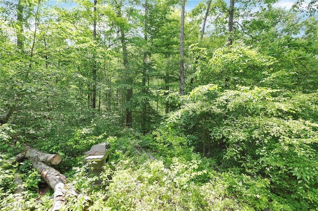 0 Sugargrove Rd, Chandlersville, OH 43727 - view of woods