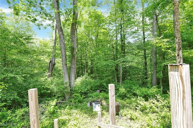 0 Sugargrove Rd, Chandlersville, OH 43727 - view of yard with a forest view