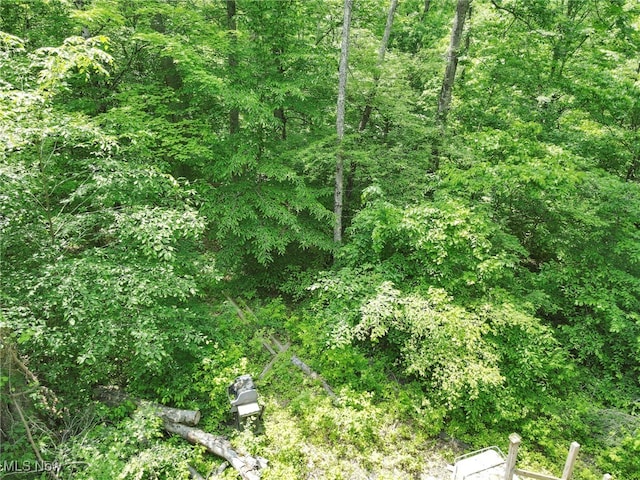 0 Sugargrove Rd, Chandlersville, OH 43727 - view of woods