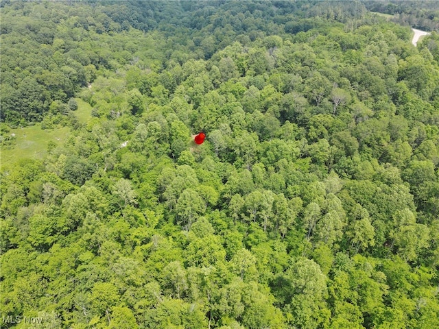 0 Sugargrove Rd, Chandlersville, OH 43727 - drone / aerial view of a forest