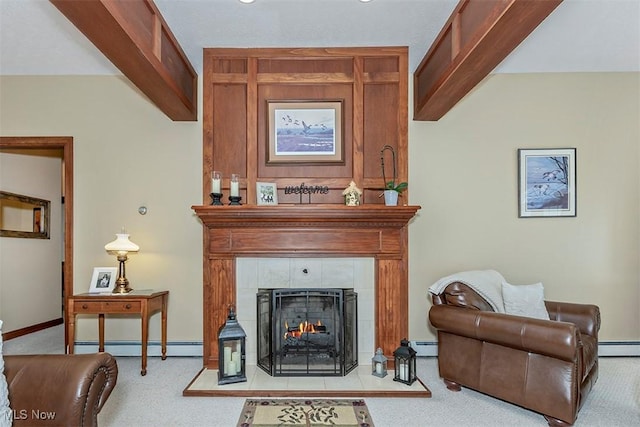4255 River Rd, Perry, OH 44081 - living area with baseboard heating, carpet flooring, a baseboard heating unit, and baseboards