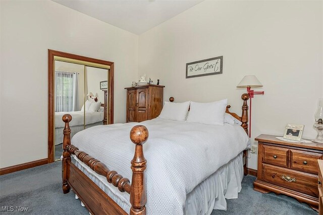 4255 River Rd, Perry, OH 44081 - bedroom with carpet, baseboards, and a closet