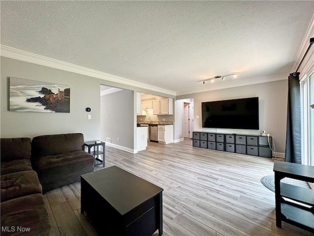 3430 E Prescott Cir, Cuyahoga Falls, OH 44223 - living area with crown molding, light wood-type flooring, a textured ceiling, track lighting, and baseboards