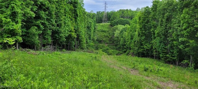 Stockdale Ln, Zanesville, OH 43701 - photo 21