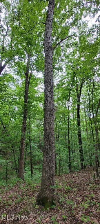 Stockdale Ln, Zanesville, OH 43701 - photo 37