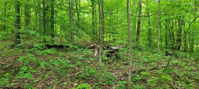 Stockdale Ln, Zanesville, OH 43701 - photo 38
