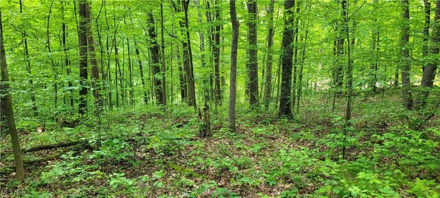 Stockdale Ln, Zanesville, OH 43701 - photo 39