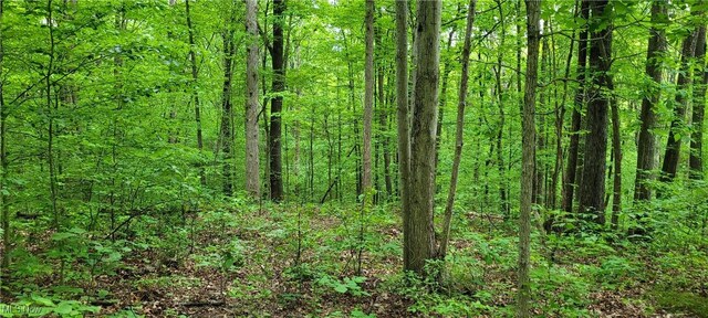 Stockdale Ln, Zanesville, OH 43701 - photo 40