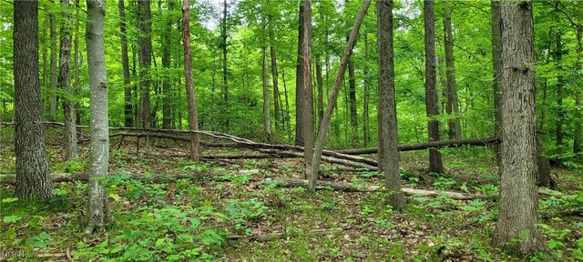 Stockdale Ln, Zanesville, OH 43701 - photo 41