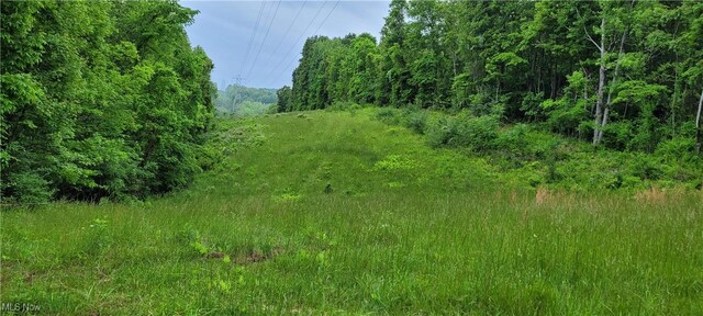 Stockdale Ln, Zanesville, OH 43701 - photo 45