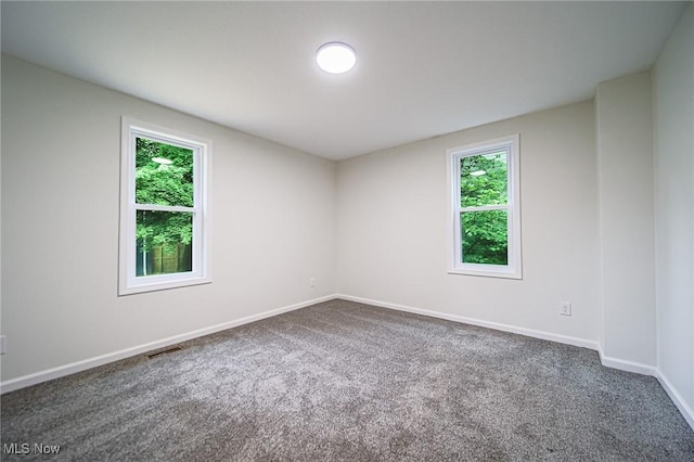 433 N Buckeye, Wooster, OH 44691 - spare room featuring carpet floors and baseboards