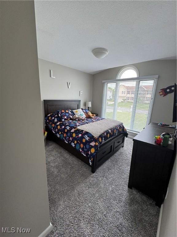 1470 Butterfield Cir, Niles, OH 44446 - carpeted bedroom with a textured ceiling