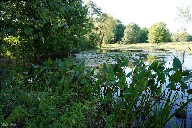 6019 New London Rd, Ashtabula, OH 44004 - view of tree filled area with a water view