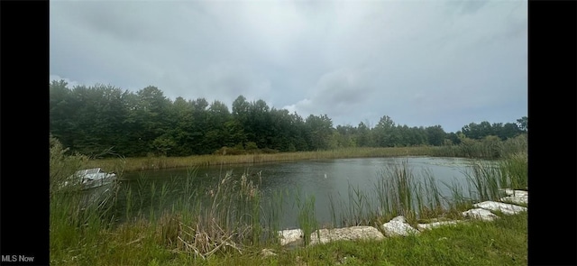 6019 New London Rd, Ashtabula, OH 44004 - water view with a forest