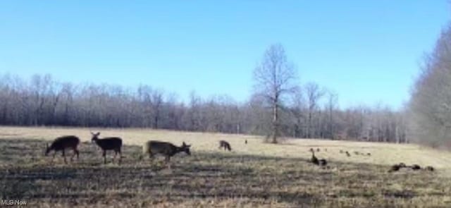 6019 New London Rd, Ashtabula, OH 44004 - view of yard featuring a view of rural / pastoral area