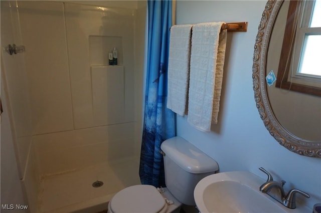 6019 New London Rd, Ashtabula, OH 44004 - full bathroom featuring a sink, a shower stall, and toilet