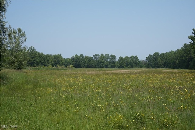 6019 New London Rd, Ashtabula, OH 44004 - view of wooded area with a view of rural / pastoral area
