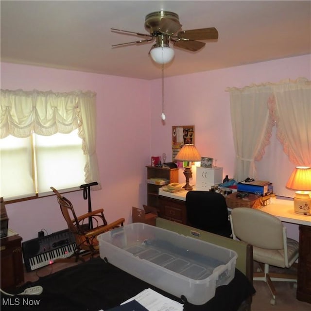 576 12th St NW, Carrollton, OH 44615 - office with ceiling fan