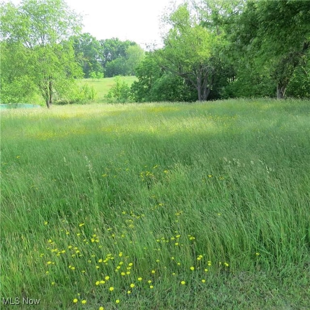 576 12th St NW, Carrollton, OH 44615 - view of undeveloped land