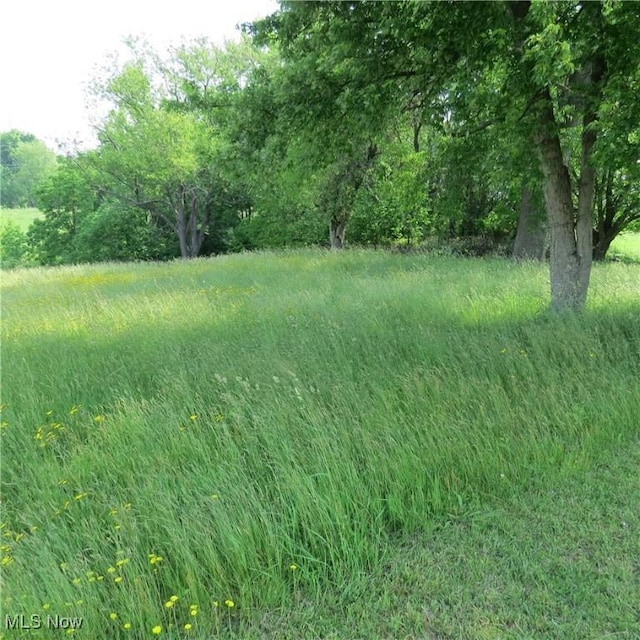 576 12th St NW, Carrollton, OH 44615 - view of yard